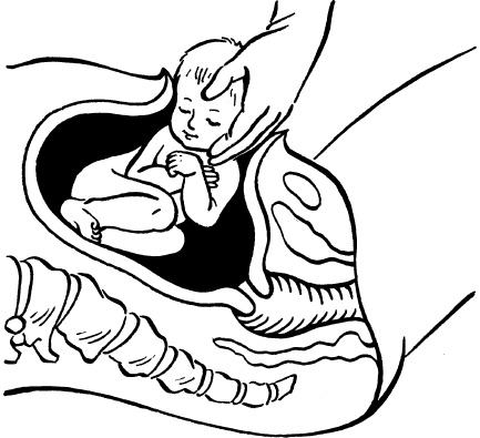 Иллюстрация к книге — Я скоро стану мамой. Главная книга для главного события в вашей жизни [_145.jpg]