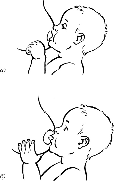 Иллюстрация к книге — Я скоро стану мамой. Главная книга для главного события в вашей жизни [_153.jpg]