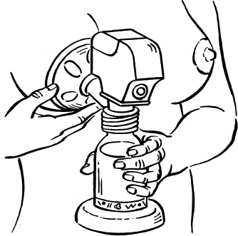 Иллюстрация к книге — Я скоро стану мамой. Главная книга для главного события в вашей жизни [_166.jpg]