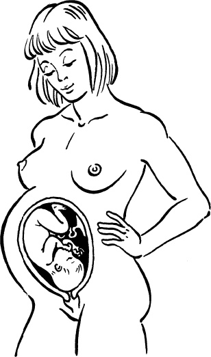 Иллюстрация к книге — Я скоро стану мамой. Главная книга для главного события в вашей жизни [_17.jpg]