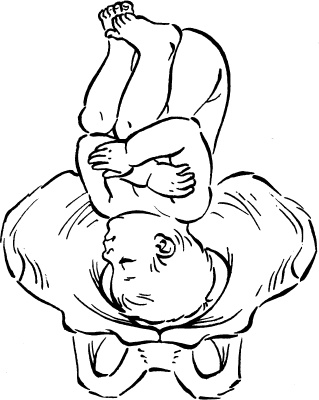 Иллюстрация к книге — Я скоро стану мамой. Главная книга для главного события в вашей жизни [_26.jpg]