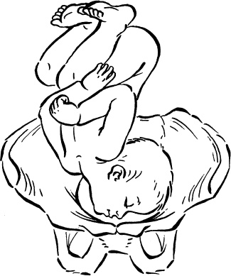 Иллюстрация к книге — Я скоро стану мамой. Главная книга для главного события в вашей жизни [_27.jpg]