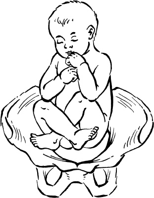 Иллюстрация к книге — Я скоро стану мамой. Главная книга для главного события в вашей жизни [_29.jpg]