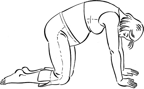 Иллюстрация к книге — Я скоро стану мамой. Главная книга для главного события в вашей жизни [_65.jpg]