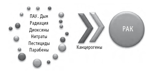 Иллюстрация к книге — Мои рецепты от рака. Опыт врача, победившего онкологию [i_023.jpg]