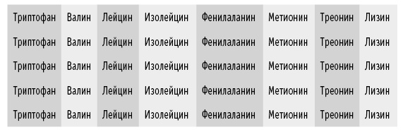 Иллюстрация к книге — Мои рецепты от рака. Опыт врача, победившего онкологию [i_030.jpg]