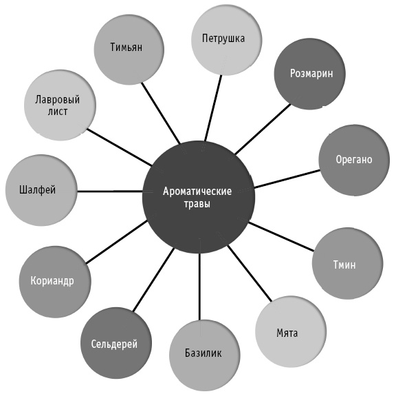 Иллюстрация к книге — Мои рецепты от рака. Опыт врача, победившего онкологию [i_073.jpg]