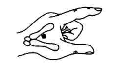 Иллюстрация к книге — Мои рецепты от рака. Опыт врача, победившего онкологию [i_090.jpg]