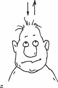 Иллюстрация к книге — Одна книга на всю жизнь. Весь &quot;Опыт дурака&quot; в одной книге [_32.jpg]