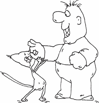 Иллюстрация к книге — Одна книга на всю жизнь. Весь &quot;Опыт дурака&quot; в одной книге [_40.jpg]