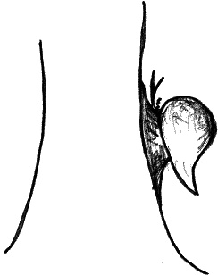 Иллюстрация к книге — Законы судьбы, или Три шага к успеху и счастью [_164.jpg]