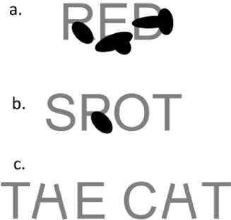 Иллюстрация к книге — Практическая мудрость [i_002.jpg]
