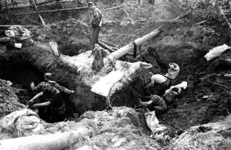 Иллюстрация к книге — «Я убит подо Ржевом». Трагедия Мончаловского «котла» [i_094.jpg]