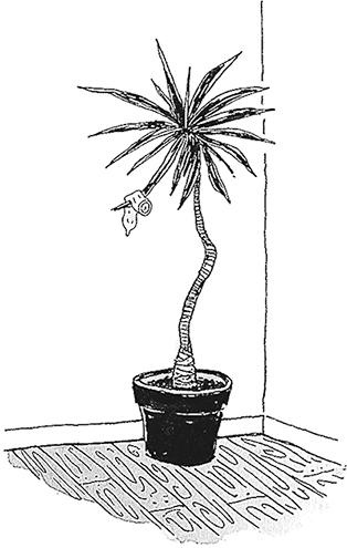 Иллюстрация к книге — Я не такая. Девчонка рассказывает, чему она &quot;научилась&quot; [i_013.jpg]