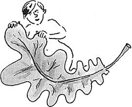 Иллюстрация к книге — Я не такая. Девчонка рассказывает, чему она &quot;научилась&quot; [i_024.jpg]