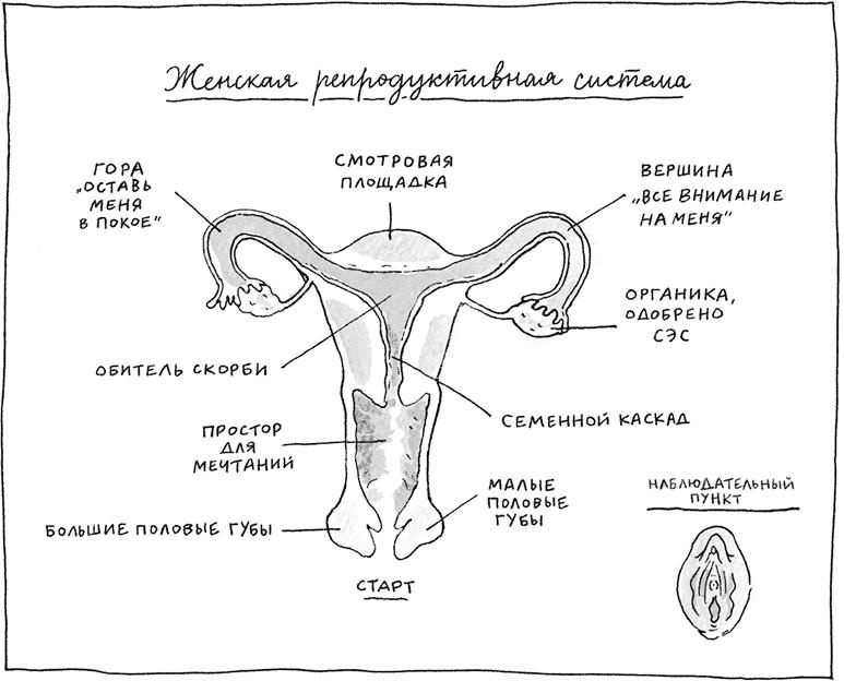 Иллюстрация к книге — Я не такая. Девчонка рассказывает, чему она &quot;научилась&quot; [i_037.jpg]