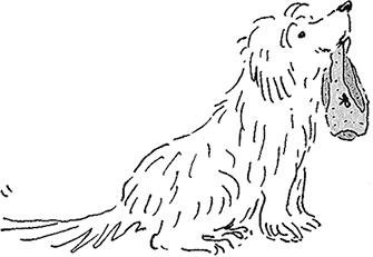 Иллюстрация к книге — Я не такая. Девчонка рассказывает, чему она &quot;научилась&quot; [i_041.jpg]