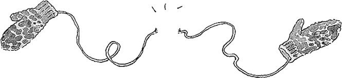 Иллюстрация к книге — Я не такая. Девчонка рассказывает, чему она &quot;научилась&quot; [i_047.jpg]