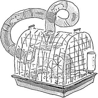 Иллюстрация к книге — Я не такая. Девчонка рассказывает, чему она &quot;научилась&quot; [i_054.jpg]