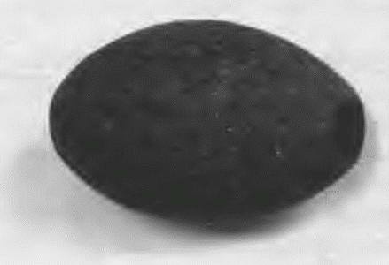 Иллюстрация к книге — &quot;Пушечное мясо&quot; Первой мировой. Пехота в бою [i_055.jpg]