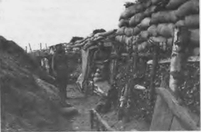 Иллюстрация к книге — &quot;Пушечное мясо&quot; Первой мировой. Пехота в бою [i_070.jpg]