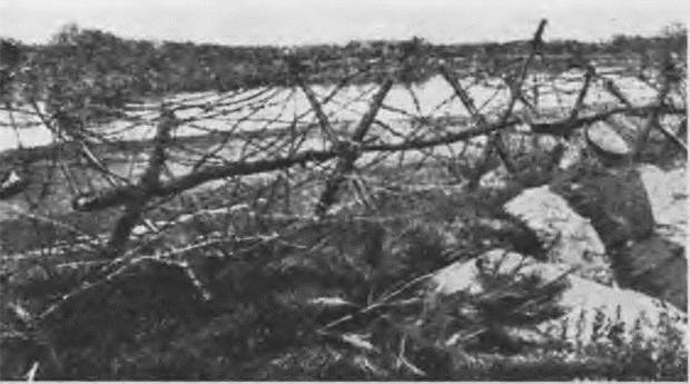 Иллюстрация к книге — &quot;Пушечное мясо&quot; Первой мировой. Пехота в бою [i_091.jpg]