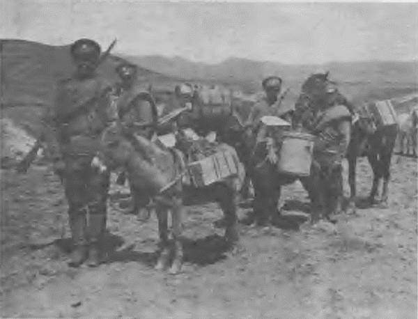 Иллюстрация к книге — &quot;Пушечное мясо&quot; Первой мировой. Пехота в бою [i_100.jpg]