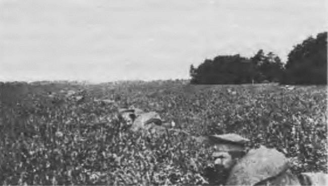 Иллюстрация к книге — &quot;Пушечное мясо&quot; Первой мировой. Пехота в бою [i_135.jpg]