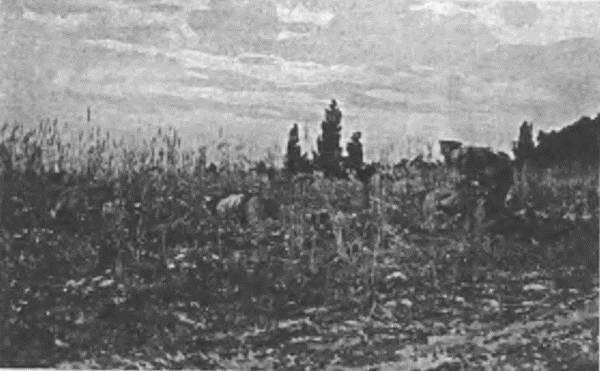 Иллюстрация к книге — &quot;Пушечное мясо&quot; Первой мировой. Пехота в бою [i_136.jpg]