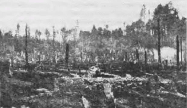 Иллюстрация к книге — &quot;Пушечное мясо&quot; Первой мировой. Пехота в бою [i_140.jpg]