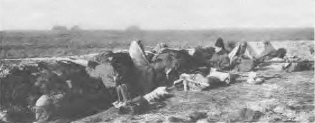 Иллюстрация к книге — &quot;Пушечное мясо&quot; Первой мировой. Пехота в бою [i_152.jpg]