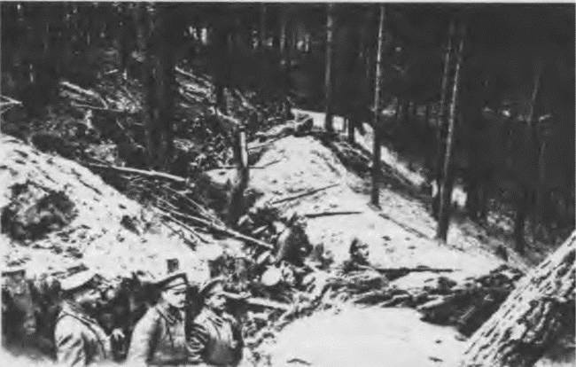 Иллюстрация к книге — &quot;Пушечное мясо&quot; Первой мировой. Пехота в бою [i_164.jpg]