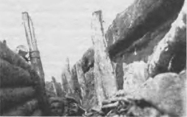 Иллюстрация к книге — &quot;Пушечное мясо&quot; Первой мировой. Пехота в бою [i_171.jpg]