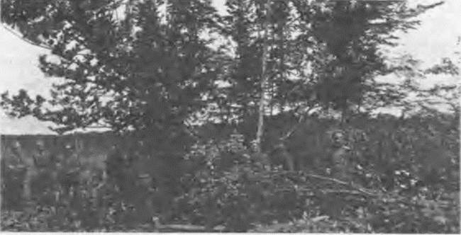 Иллюстрация к книге — &quot;Пушечное мясо&quot; Первой мировой. Пехота в бою [i_172.jpg]