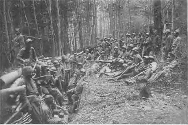 Иллюстрация к книге — &quot;Пушечное мясо&quot; Первой мировой. Пехота в бою [i_180.jpg]