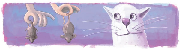 Иллюстрация к книге — Призрак соседнего дома, или 44 приключения Тамарочки Павловны [_20.jpg]