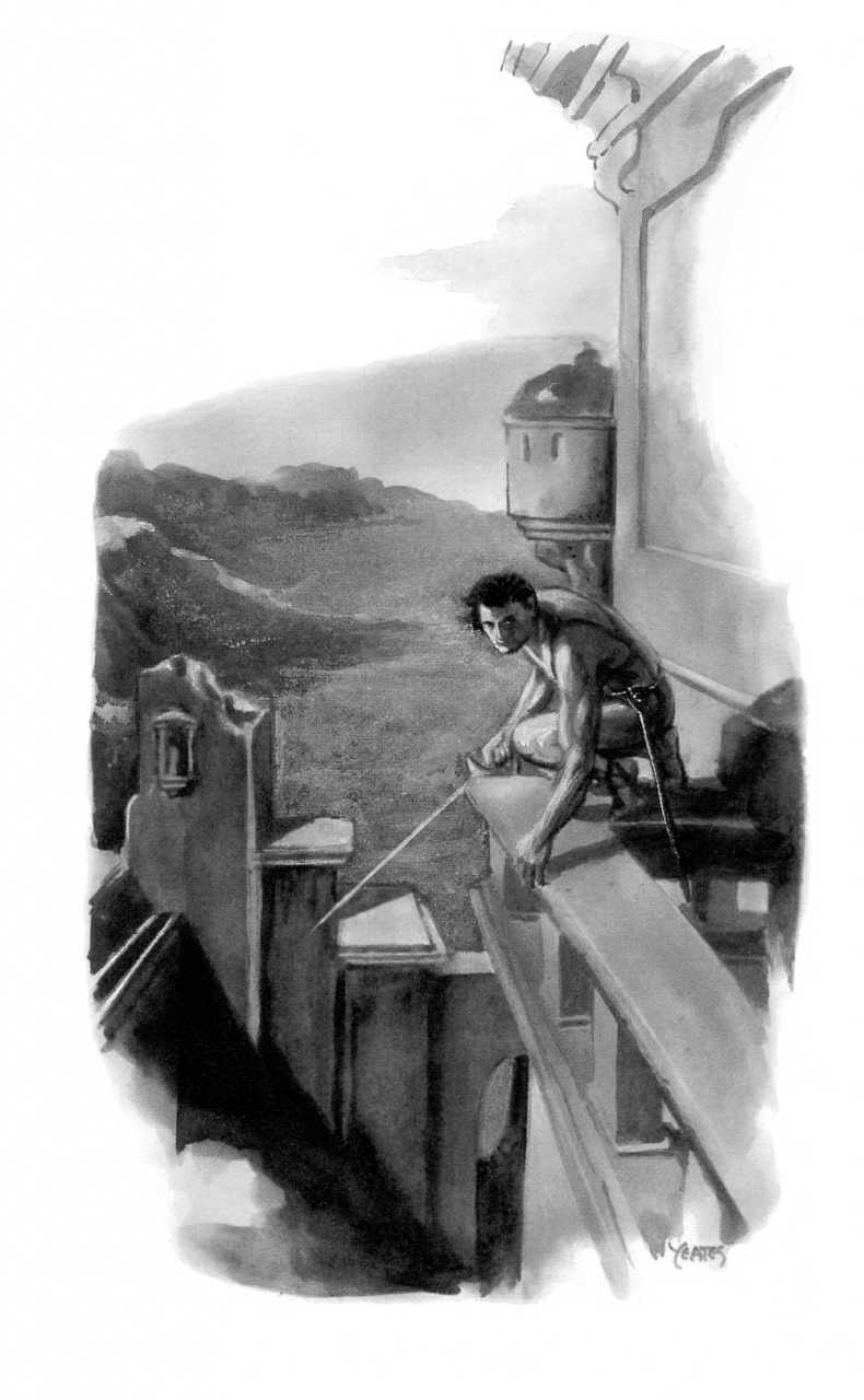 Иллюстрация к книге — Принцесса Марса. Боги Марса. Владыка Марса [i_037.jpg]