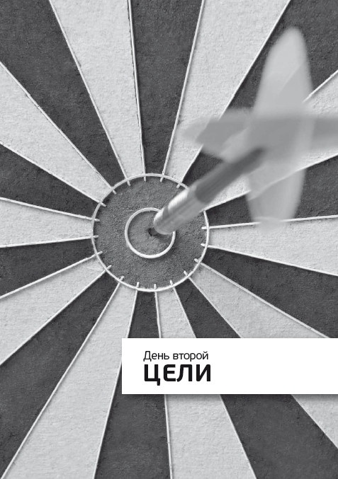 Иллюстрация к книге — Компаньон, или 10 дней из жизни миллионера [i_002.jpg]