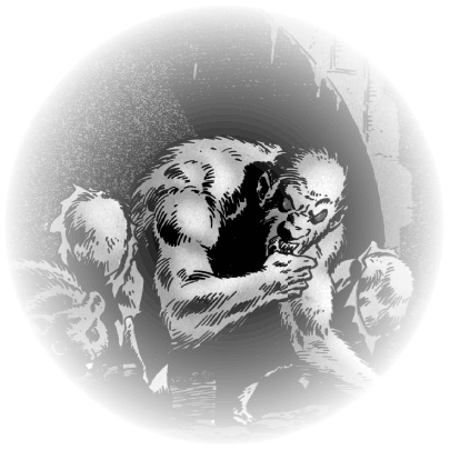 Иллюстрация к книге — Человек-паук. Последняя охота Крэйвена [i_005.jpg]