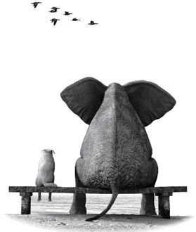 Иллюстрация к книге — Эти удивительные животные. Самые неожиданные факты о братьях наших... разумных [_01.jpg]