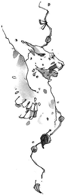 Иллюстрация к книге — Витчхантеры. 1. Идентификация Вики [i_002.jpg]