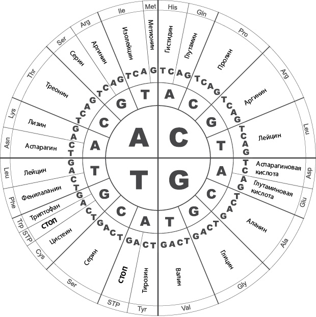 Иллюстрация к книге — Двигатели жизни. Как бактерии сделали наш мир обитаемым [i_037.jpg]