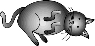 Иллюстрация к книге — Как стать уверенным в себе. Всего 6 минут в день. Книга-тренинг [_7.jpg]