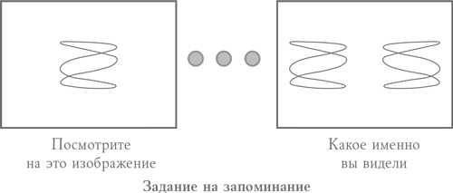 Иллюстрация к книге — Странная девочка, которая влюбилась в мозг. Как знание нейробиологии помогает стать привлекательнее, счастливее и лучше [i_006.jpg]