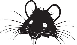 Иллюстрация к книге — Самый нужный тренажер для вашего мозга [i_005.jpg]