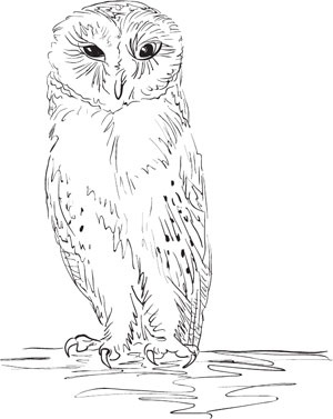 Иллюстрация к книге — Самый нужный тренажер для вашего мозга [i_017.jpg]