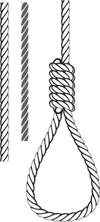 Иллюстрация к книге — Самый нужный тренажер для вашего мозга [i_031.jpg]