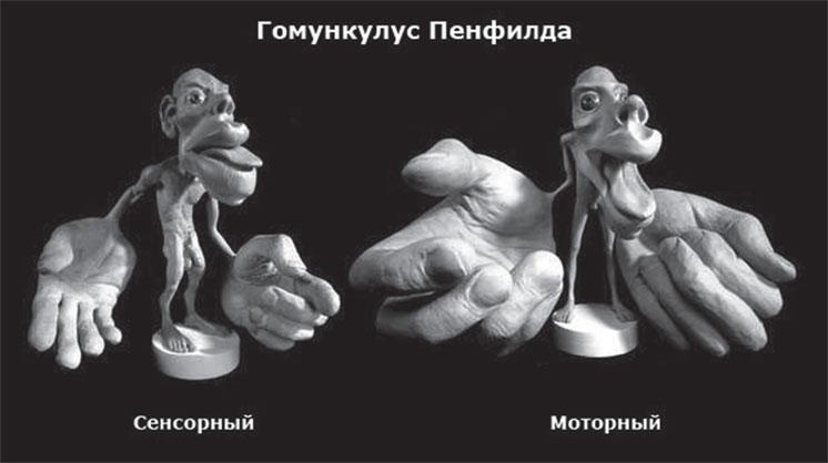 Иллюстрация к книге — Сверхвозможности человеческого мозга. Путешествие в подсознание [_33.jpg]