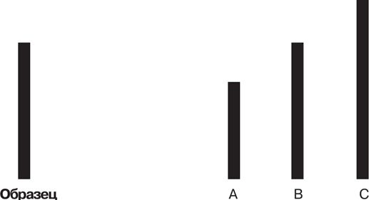 Иллюстрация к книге — Иллюзия &quot;Я&quot;, или Игры, в которые играет с нами мозг [i_007.jpg]