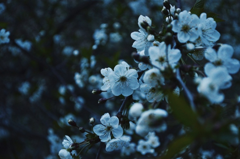 Иллюстрация к книге — ПритяЖЕНственность благополучия [image3_55d35d897042c1557e9724fa_jpg.jpg]